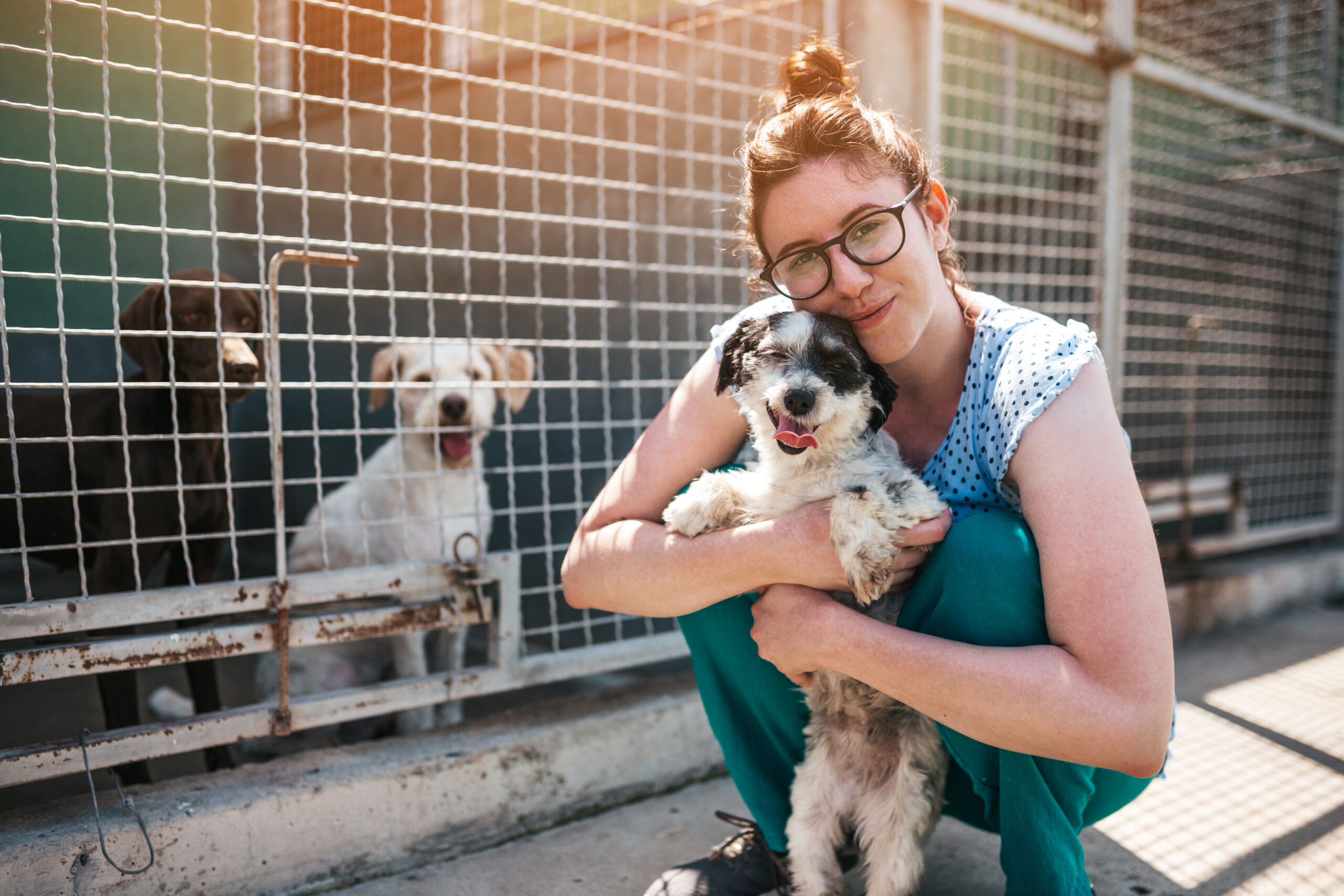 A volunteer at an animal shelter holding a small dog, with two more dogs in the kennel behind her.